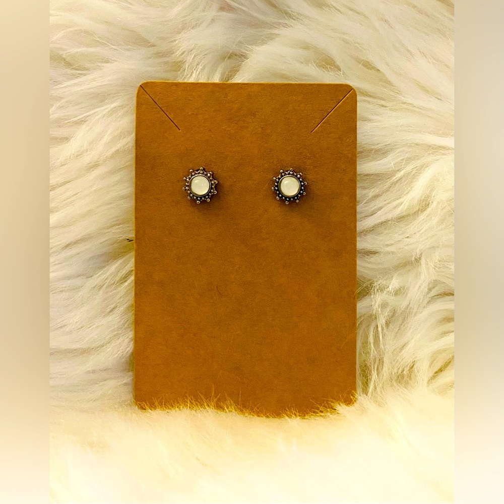 Boutique Hypoallergenic Earrings